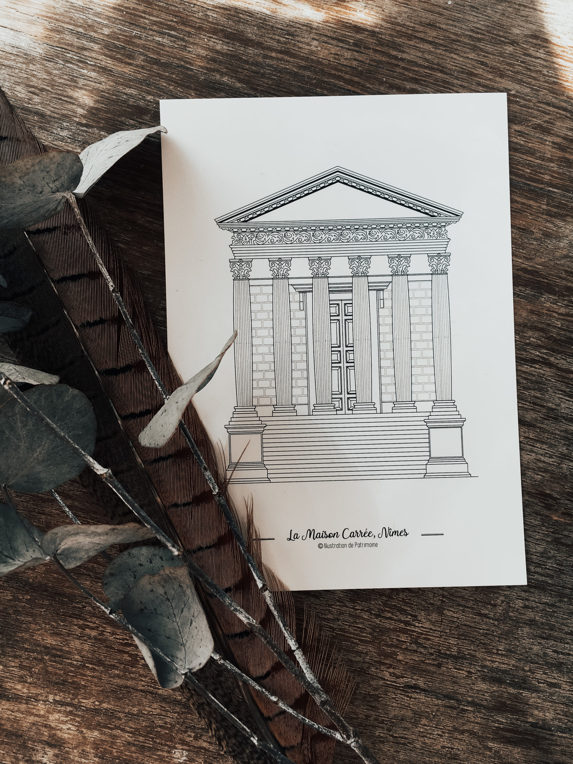 Illustration_de_patrimoine_boutique_en_ligne_illustration_maison_carrée_nimes