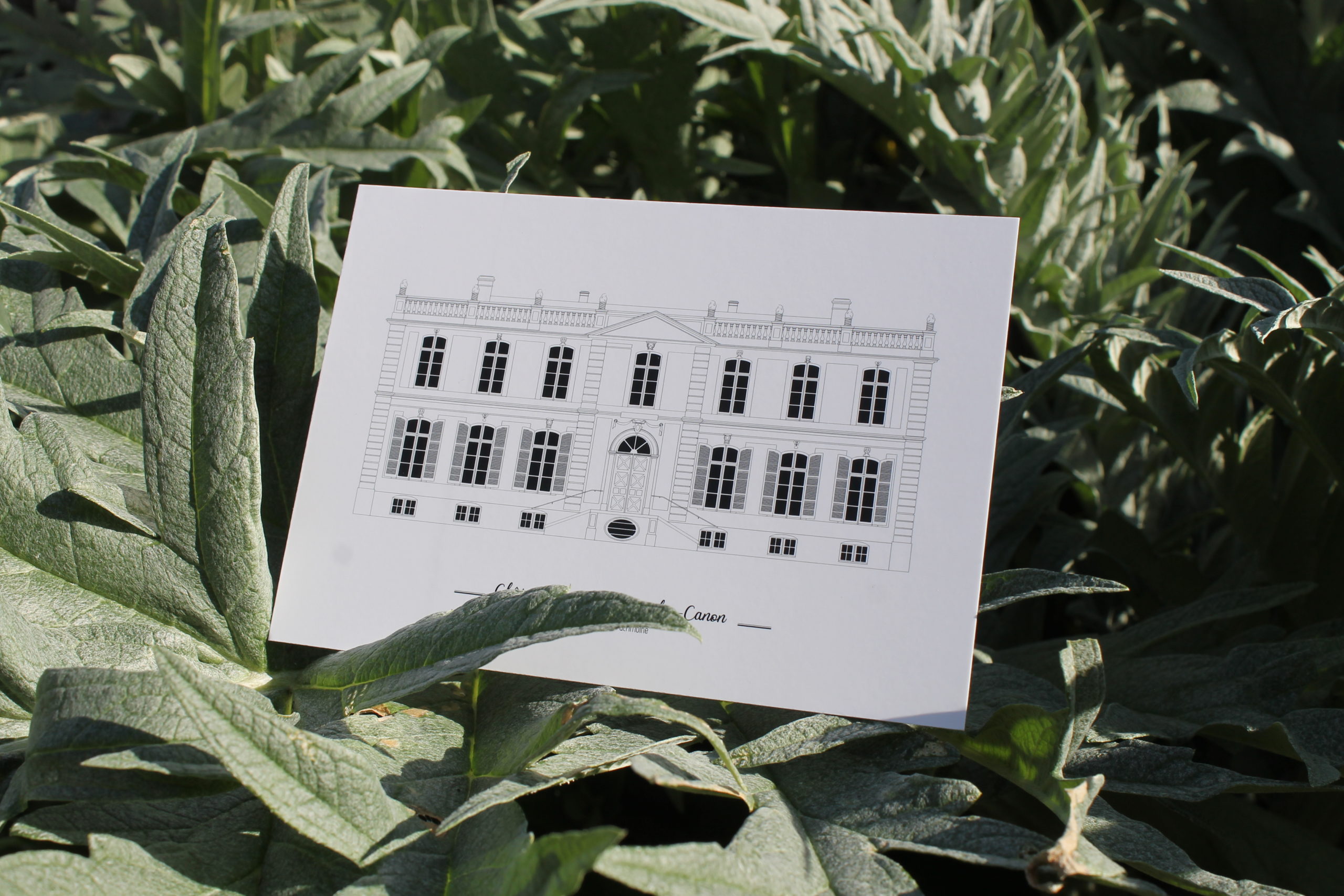 illustration de patrimoine _ covid19_ nouvelles de l'atelier_