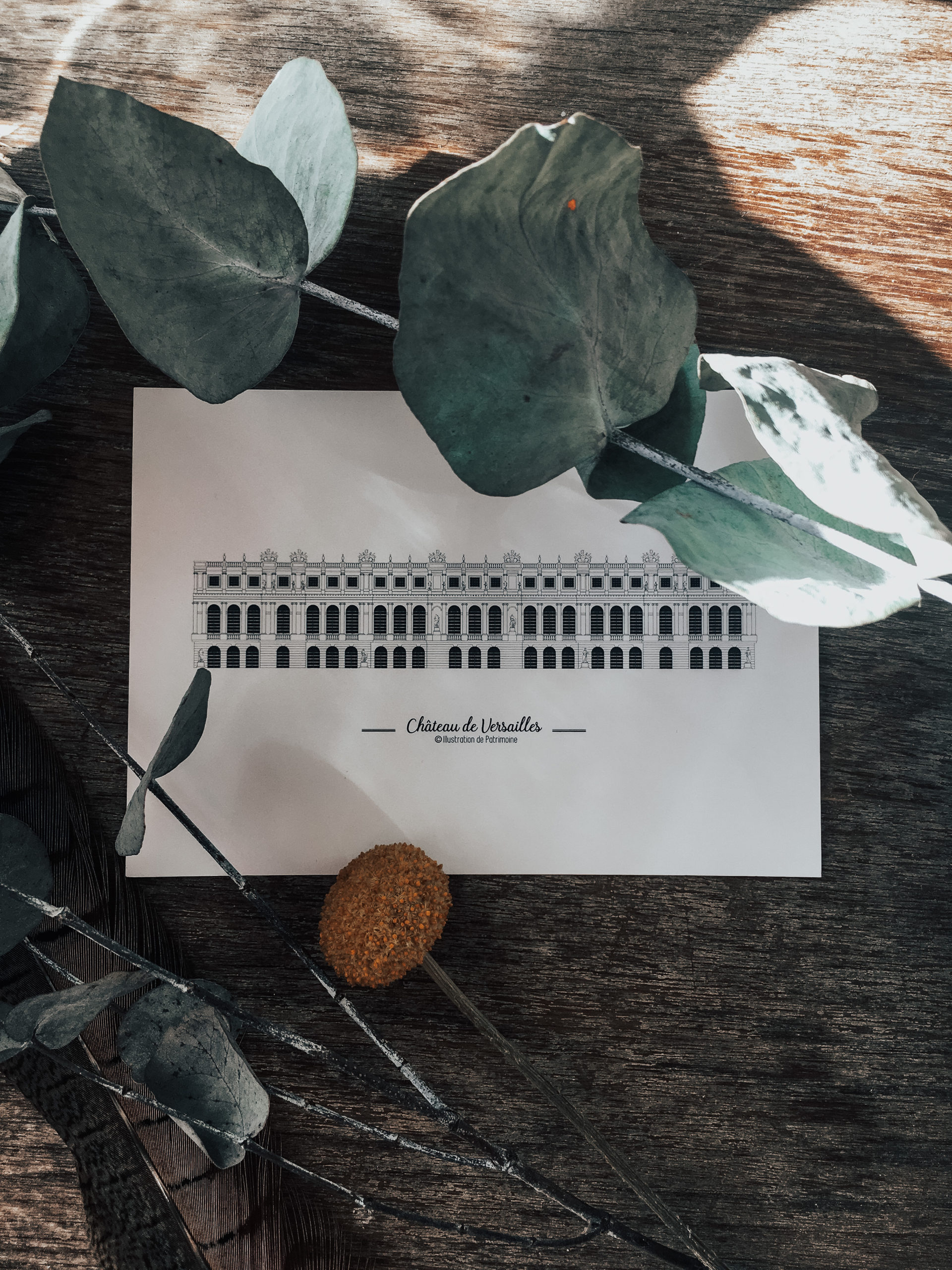 Château de Versailles, vue depuis les jardins