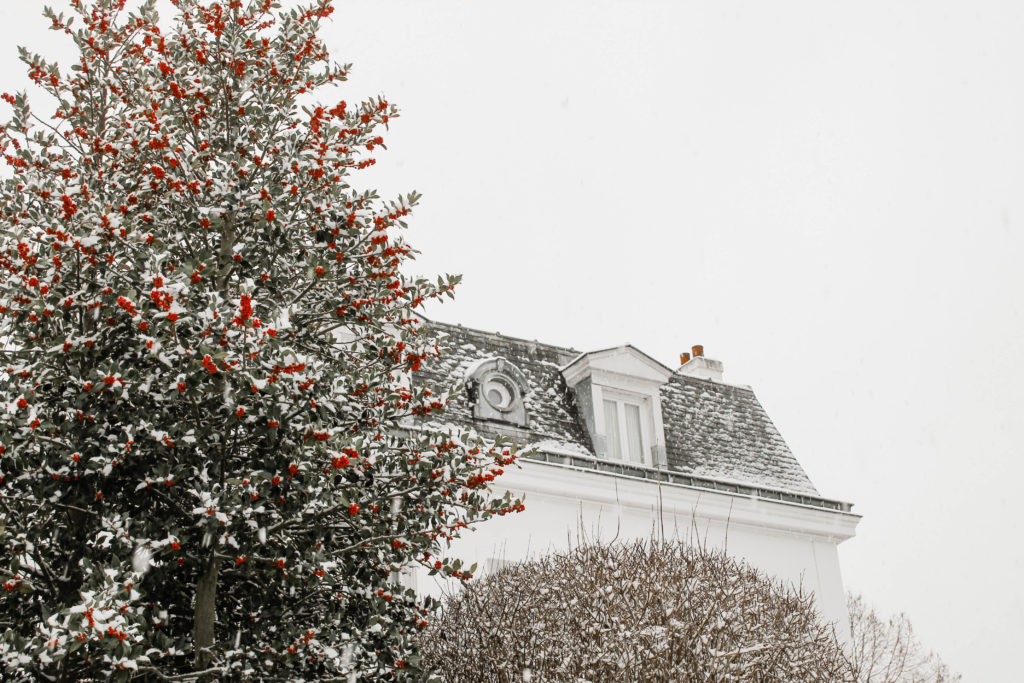 photographie_illustration_de_patrimoine_anne_létondot_valdoise_tourisme_monuments_historique_lisleadam_95-_sous_la_neige_hiver_maison_bourgeoise