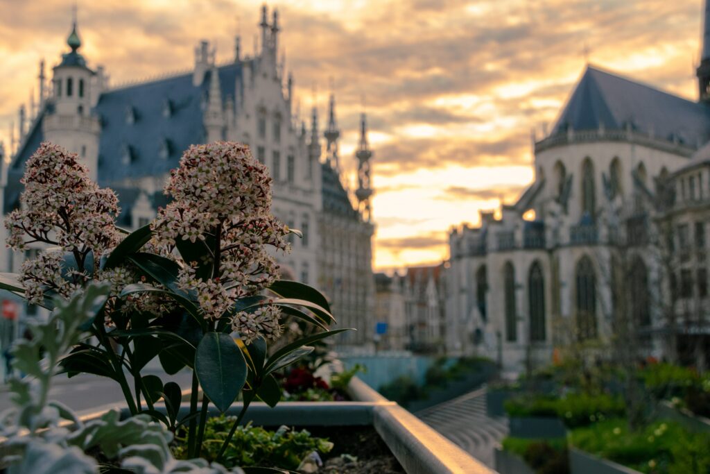 Blog Illustration patrimoine Belgique Louvain